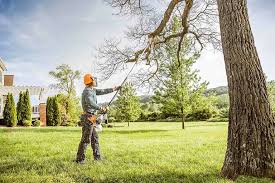 Professional Tree Care in Shoemakersville, PA